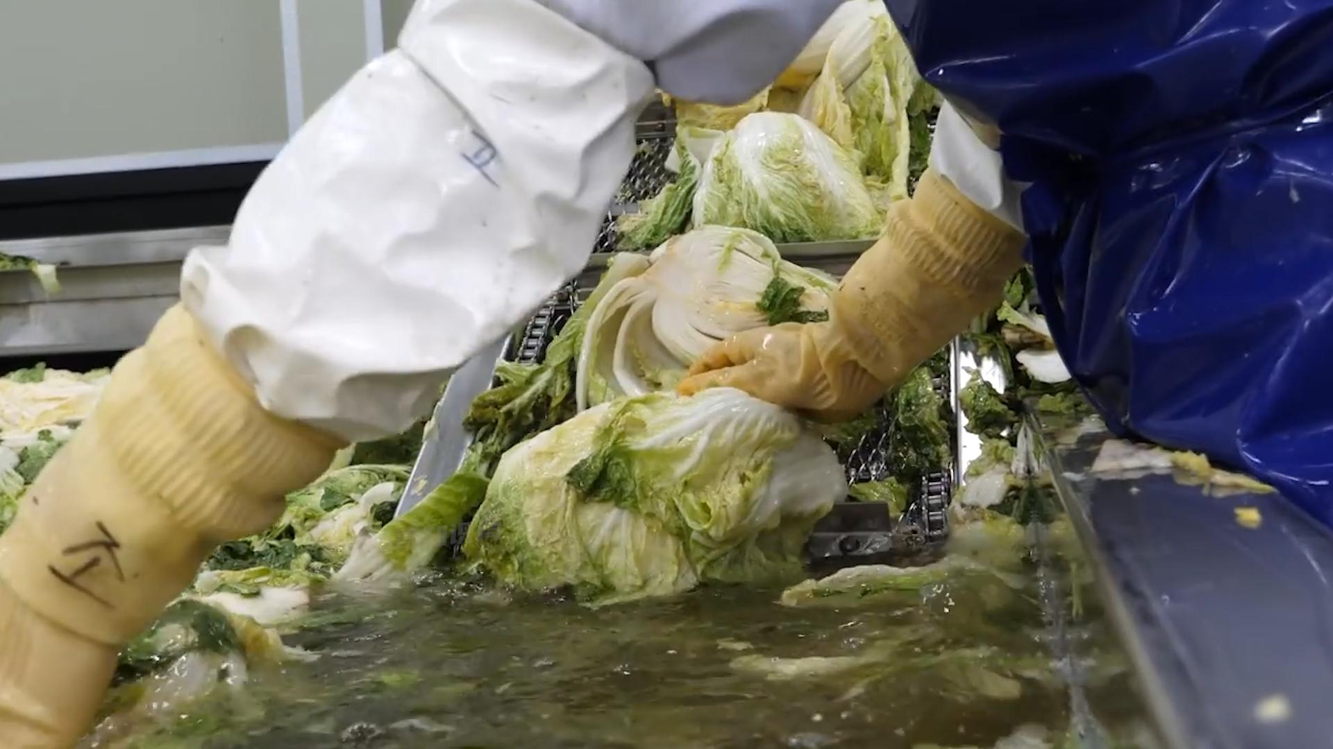 韩国人西瓜为什么贵,韩国人西瓜真的那么贵吗