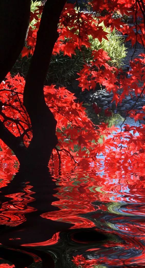 稀世景观,稀世景观震撼又壮观