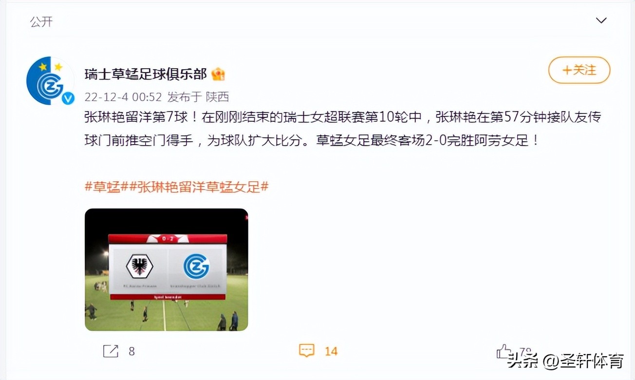 张琳艳世界波进球,张琳艳瑞士8球集锦