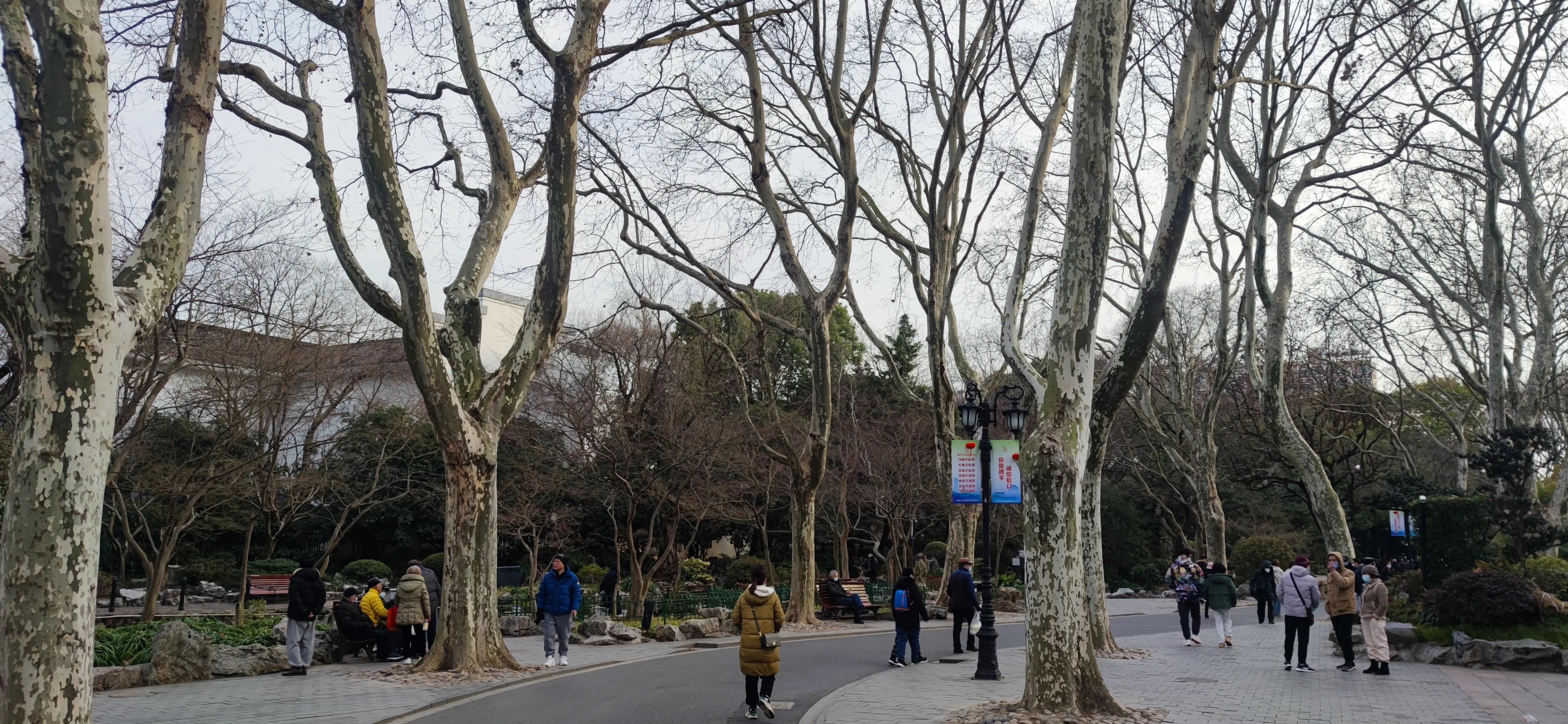 漫步鲁迅公园,周末鲁迅公园