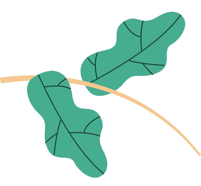 从“新”出发扬帆远航——你好，2022级光彩少年——重庆二十九中