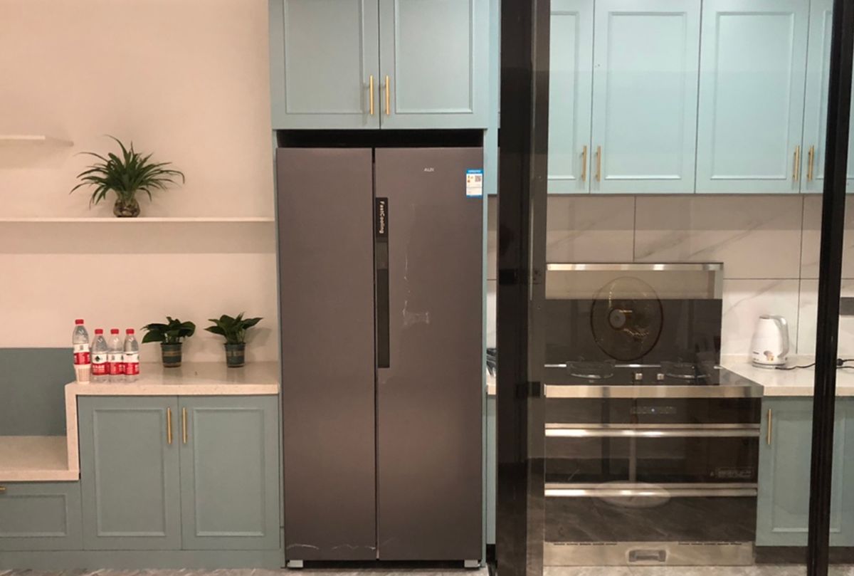 什么牌子冰箱好容量大价格便宜,为什么对开门冰箱价格要高