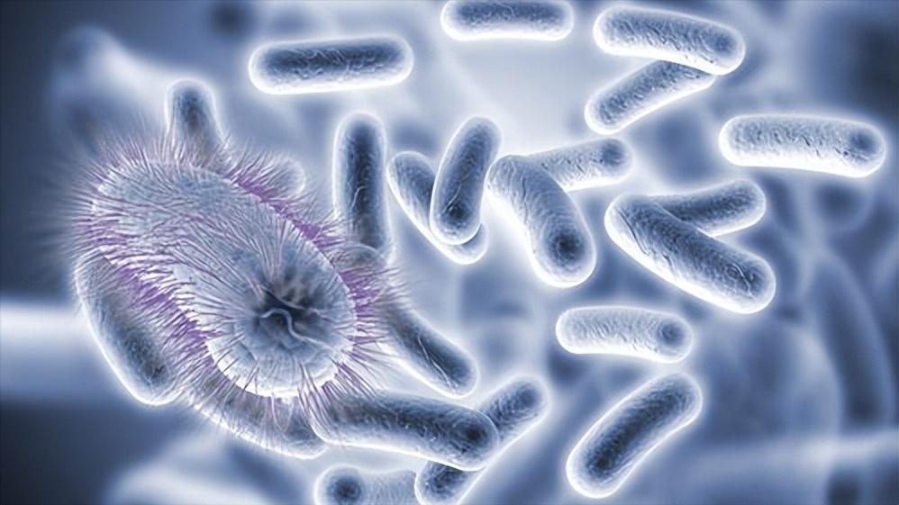 女性屁股上为啥也会长毛？能不能直接刮掉？为了健康，最好了解下