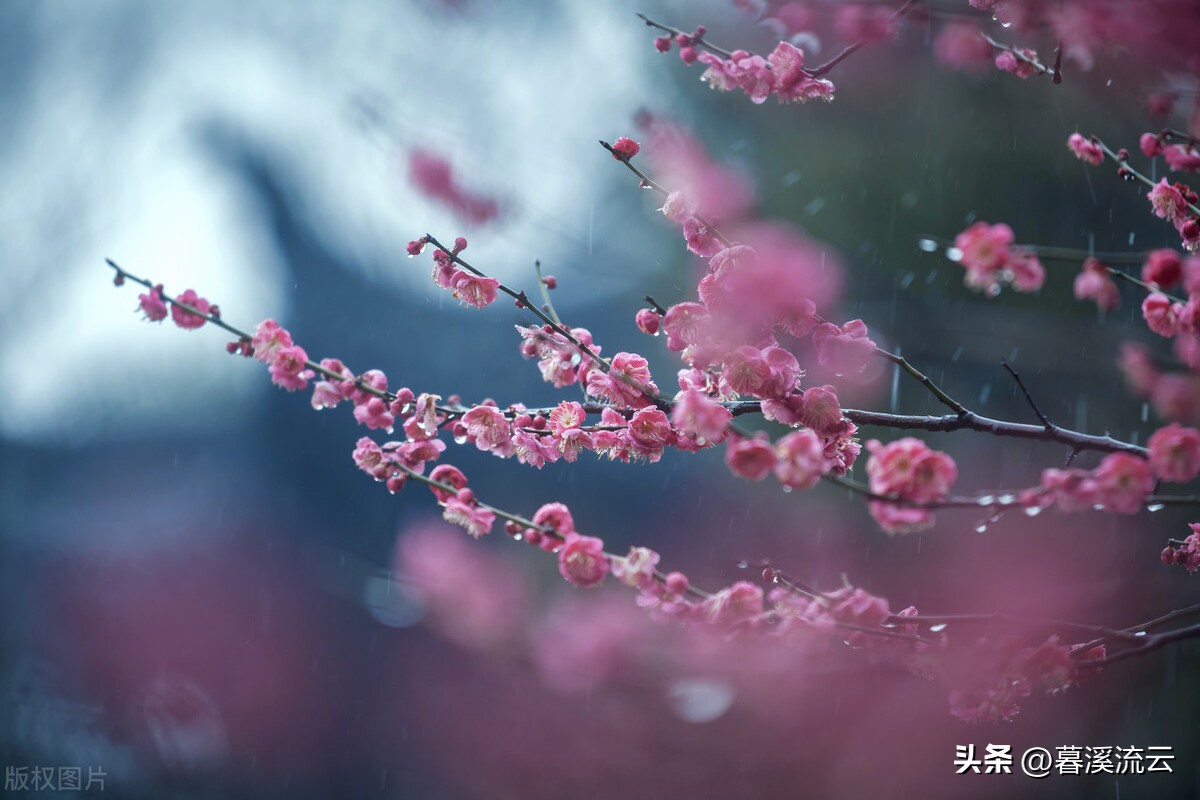 富有诗意的表白诗词,让人惊艳的绝美表白古诗词