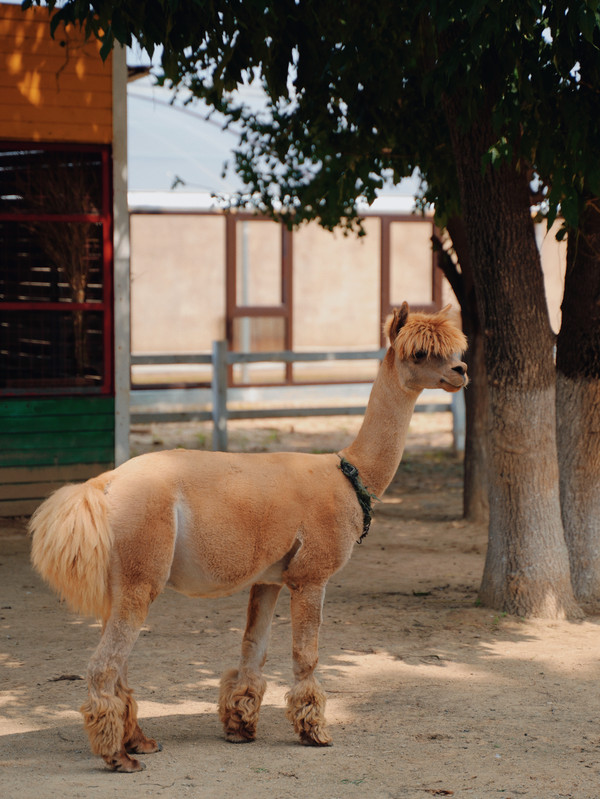 营口温泉之乡,辽宁省营口温泉排名