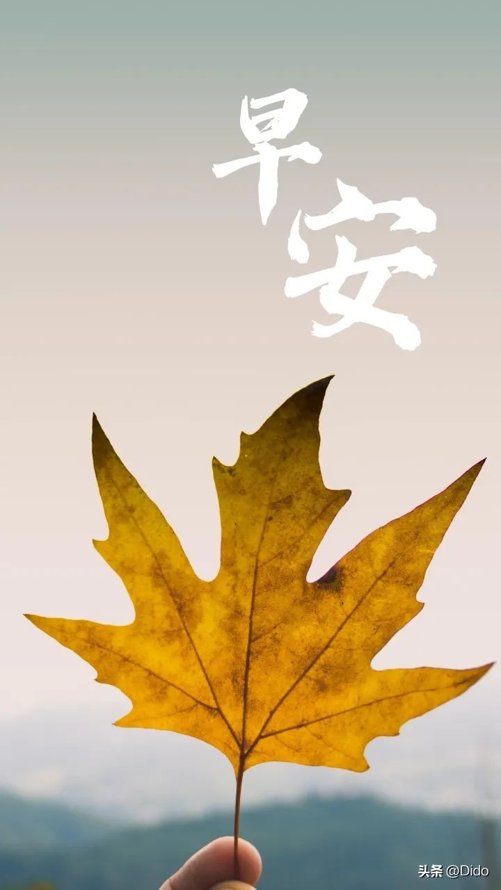 10月17日周一早安，能低头做事，才能抬头做人