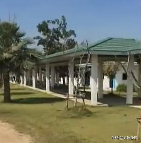 傻小子创业项目,傻小子创业视频