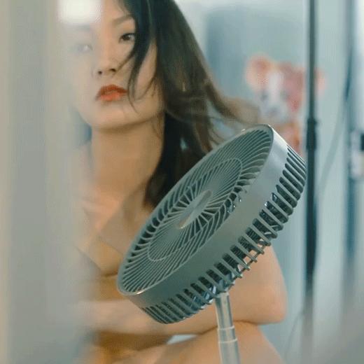 电风扇加湿循环,加湿制冷风扇与循环风扇哪个好