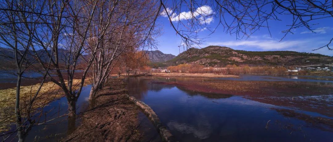 鑰佽洐15mmf4.5绉昏酱闀滃ご,鑰佽洐7.5f2璇勬祴