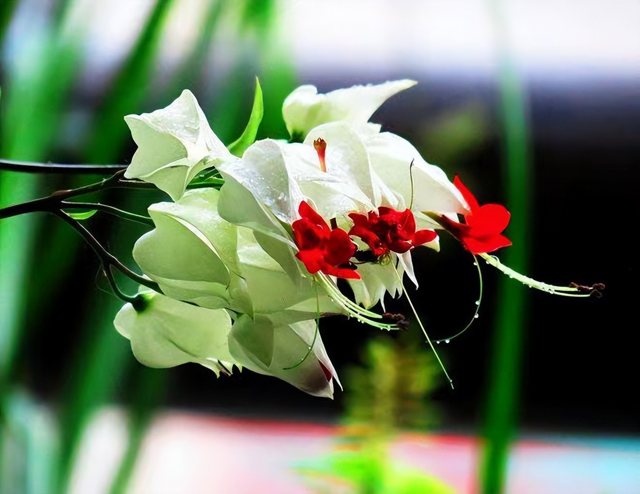 我的前半生罗子君抢闺蜜男友,我的前半生罗子君找到证据