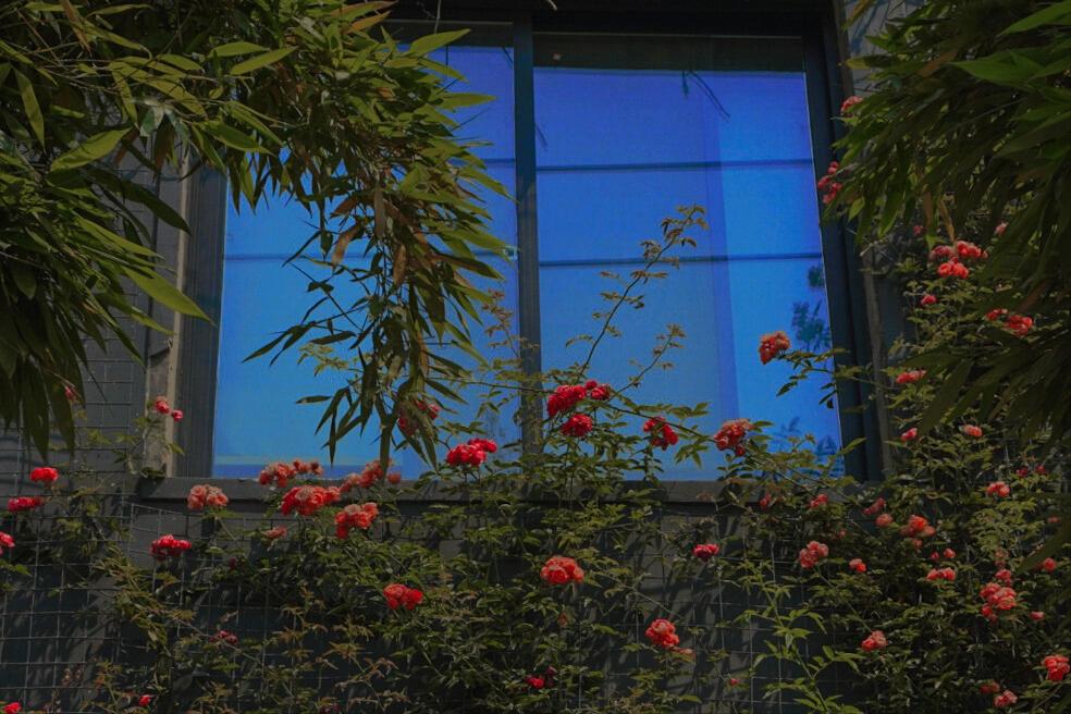 柔情似水的星座容易一见钟情,互相一见钟情的星座男女