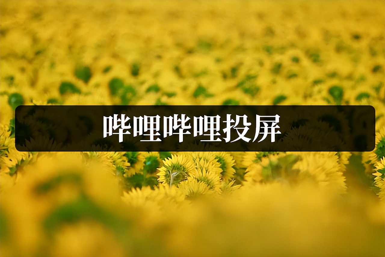 哔哩哔哩怎么保持长时间投屏,哔哩哔哩投屏设置在哪