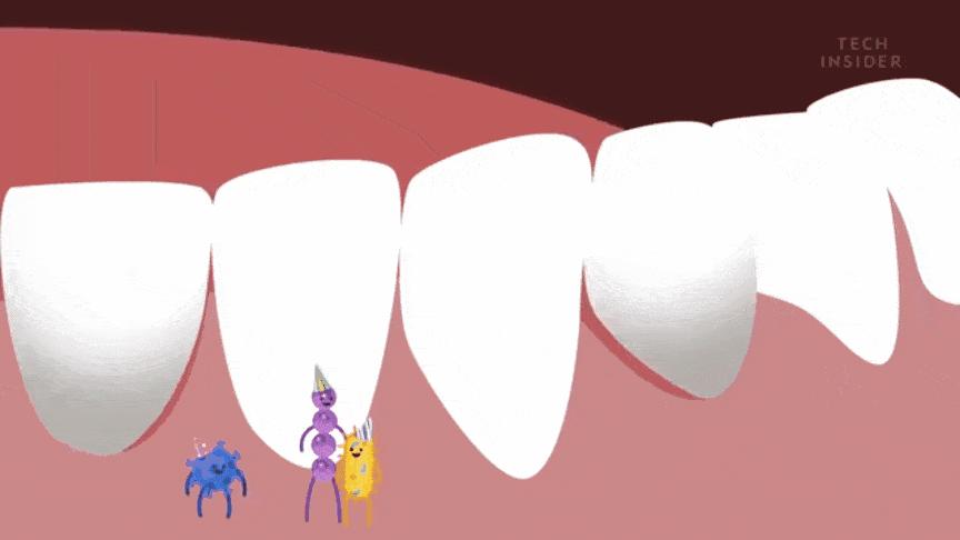 吃什么食物可以缓解口臭,糖尿病口臭吃什么食物能治口臭