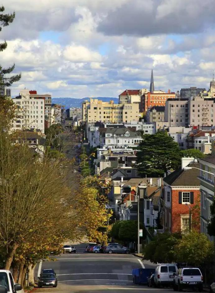 道德、法律与*会：社**十九世纪旧金山的治安困境与挑战