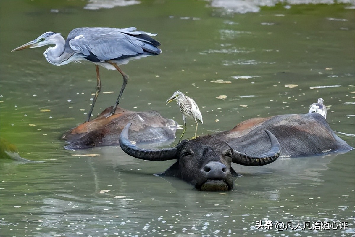 本周照片,本周最佳街拍