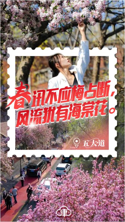 四月的天津,四月初的天津