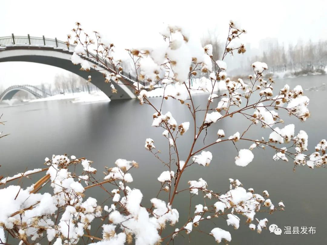 来这里邂逅最美秋韵,焦作温县玩雪