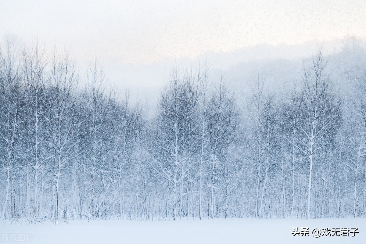 摩羯男为什么那么听双鱼女的话,摩羯男可以挽回双鱼女吗