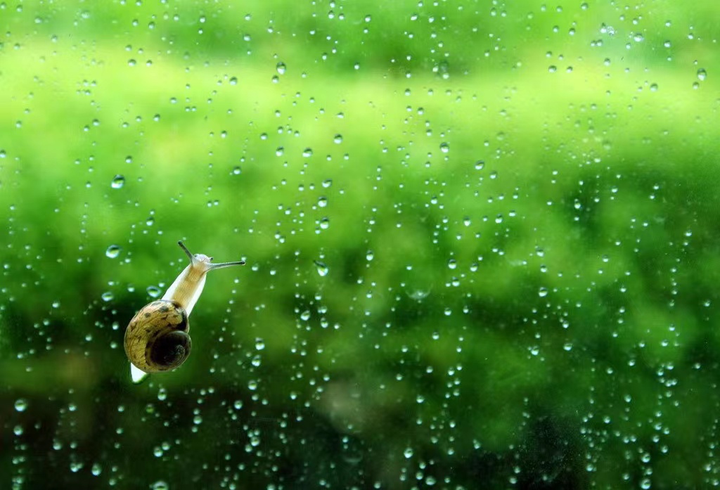 丈夫谎称单身,和十多位女网友保持着频繁联系,让我失望至极