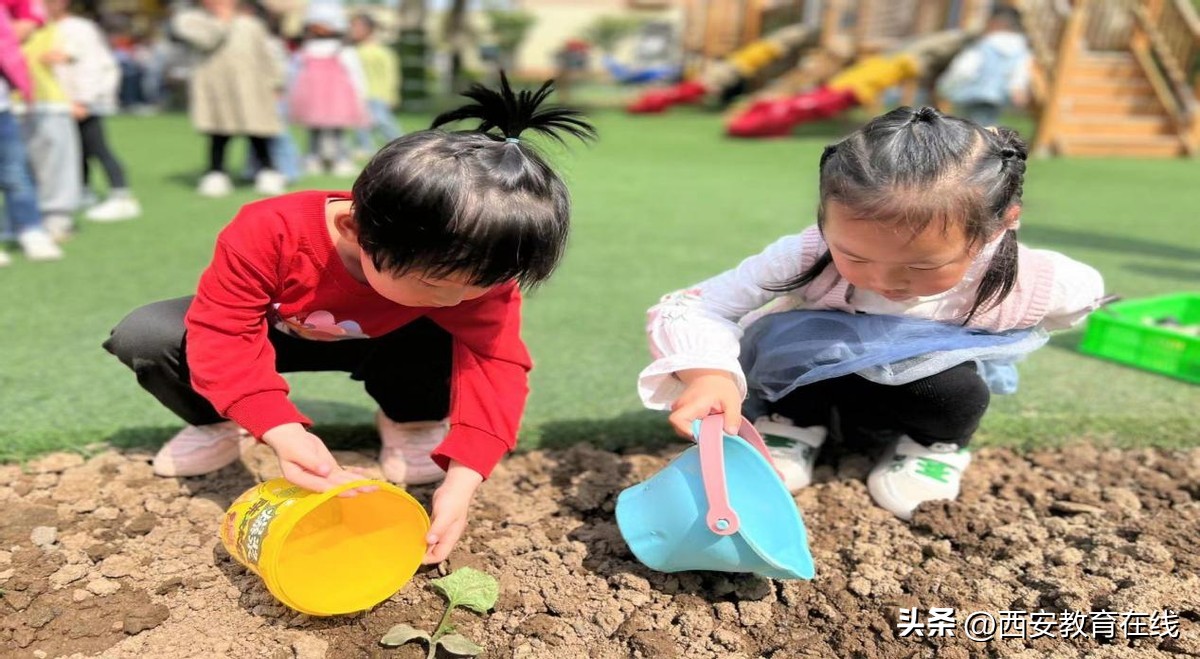 小种植大收获——新合四幼种植活动