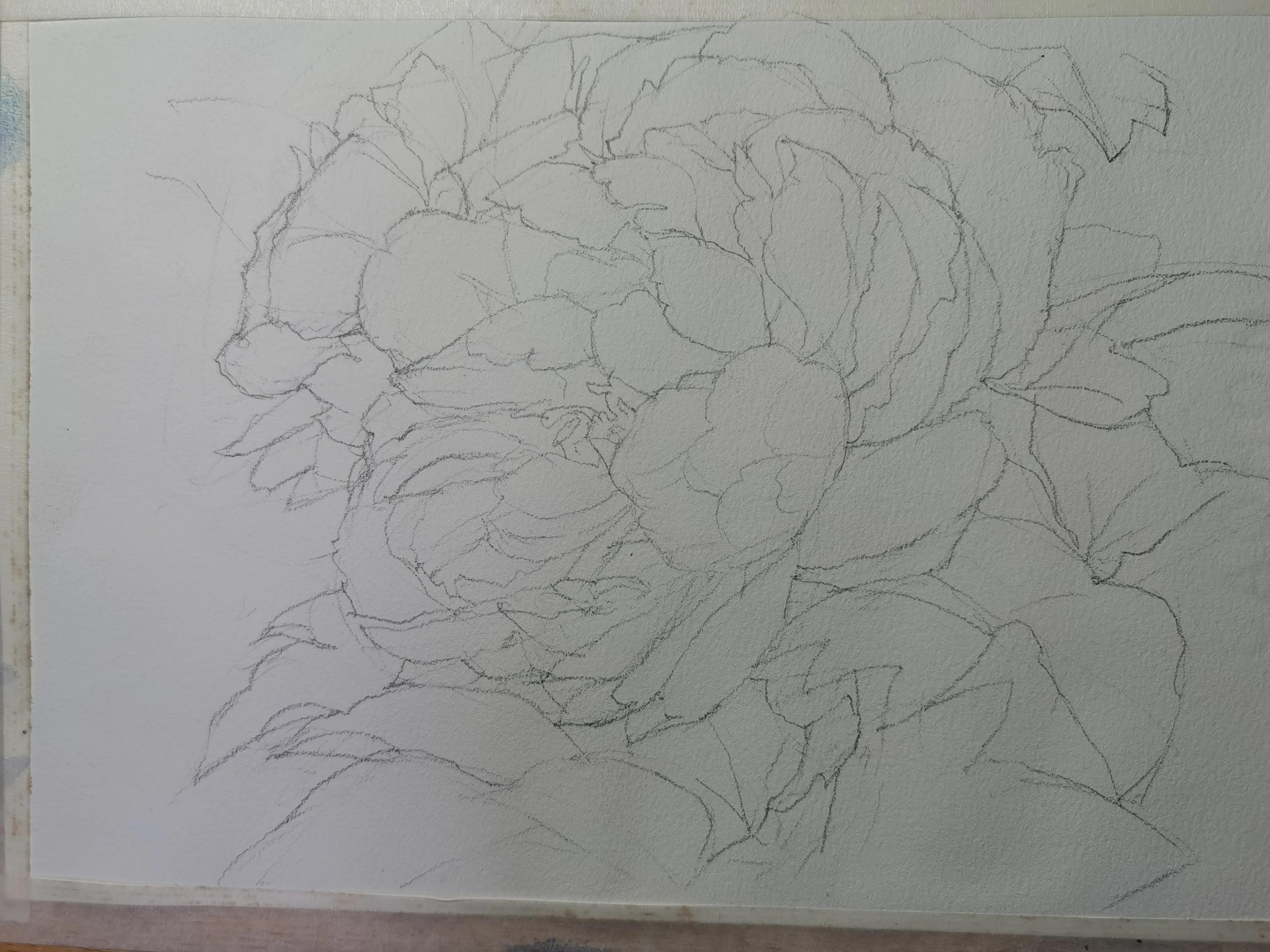 画侧面的两种方法,画准确线稿