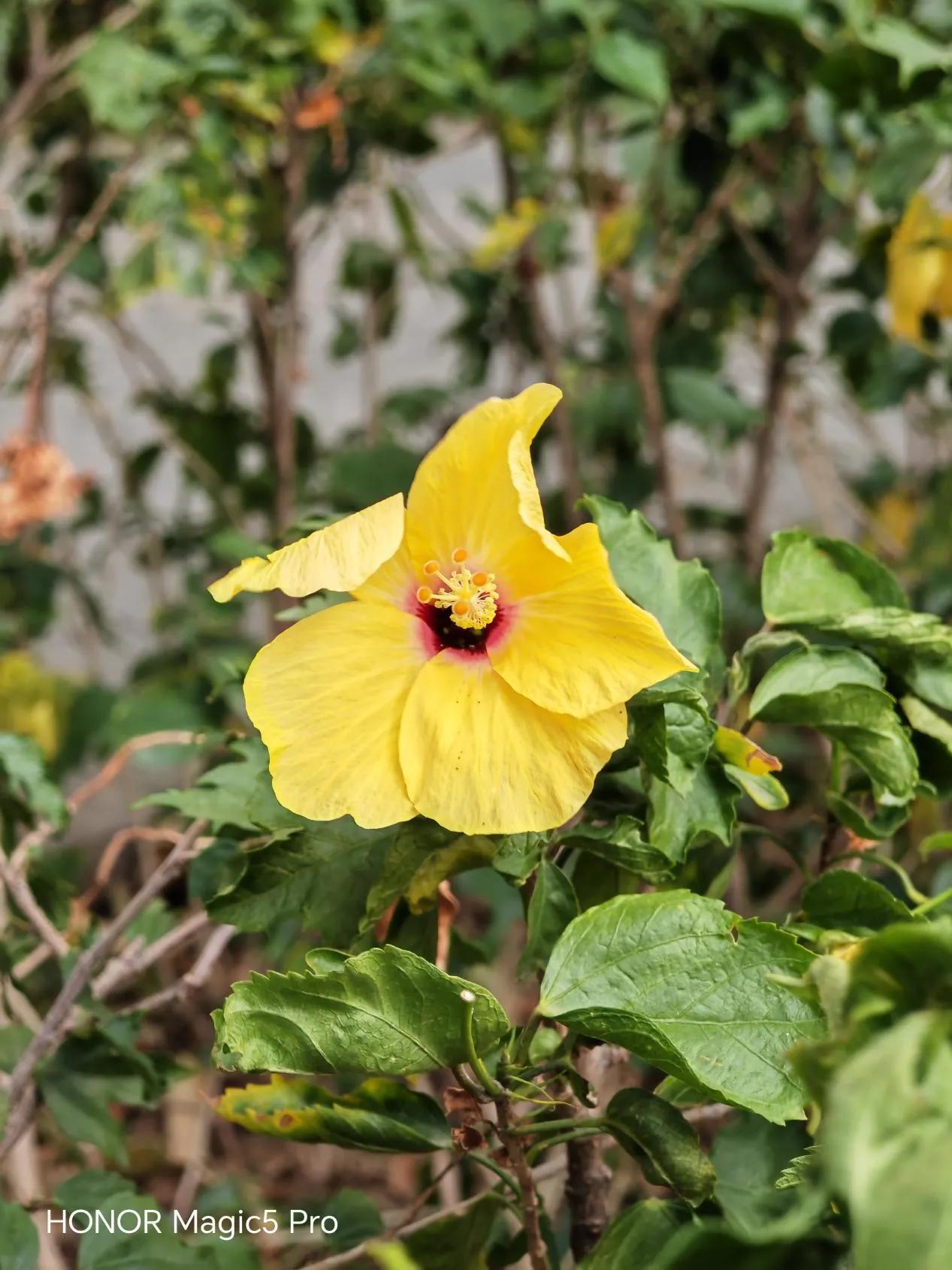 想送妈妈情人节礼物,母亲节礼物手工惊喜盒子