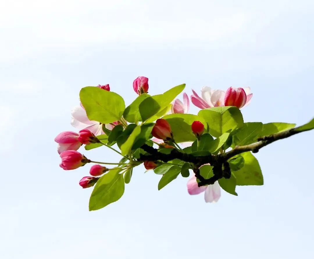 济南最火的几个网红景点打卡,济南网红打卡点景点