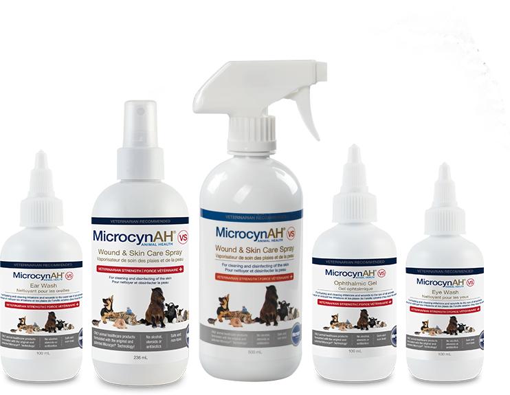 神仙水是什么地方的,神仙水在哪个地方