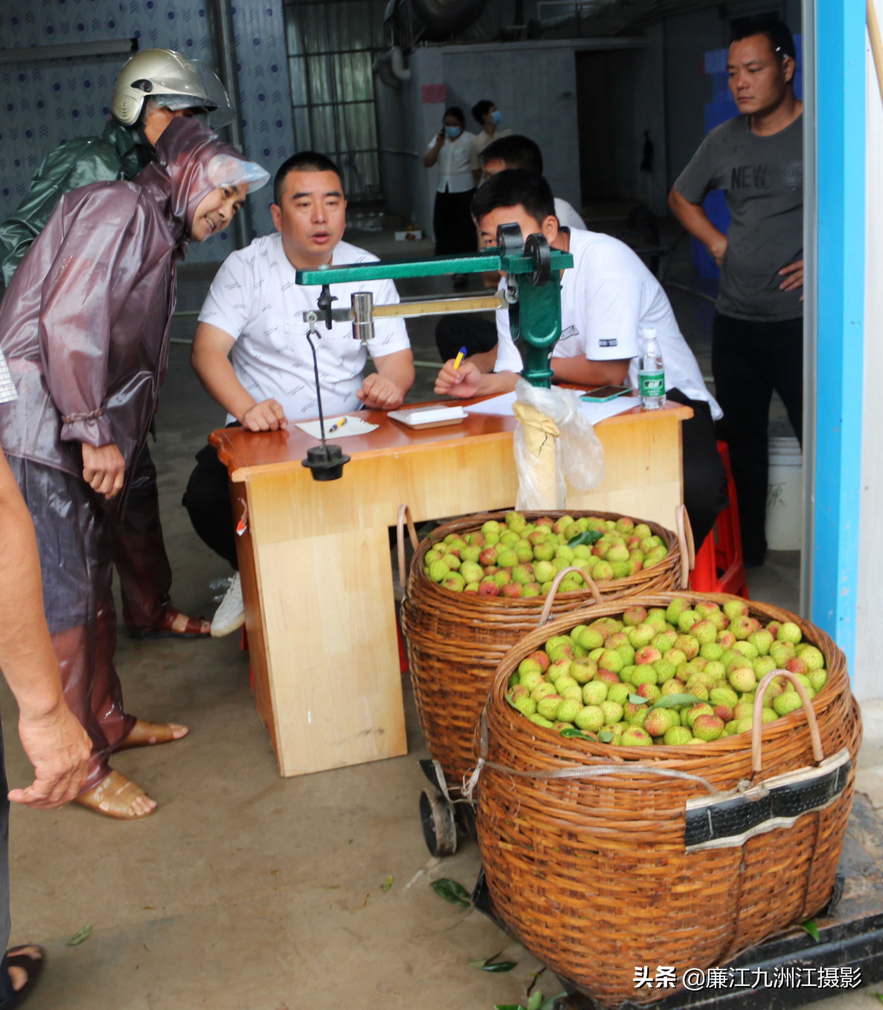 廉江吉水绿之源合作社,廉江市绿之渌分拣中心