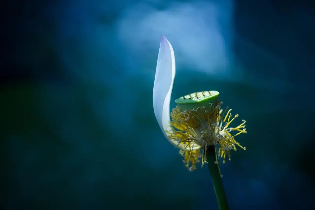 无休止的退让,无休止的退让只会让人得寸进尺