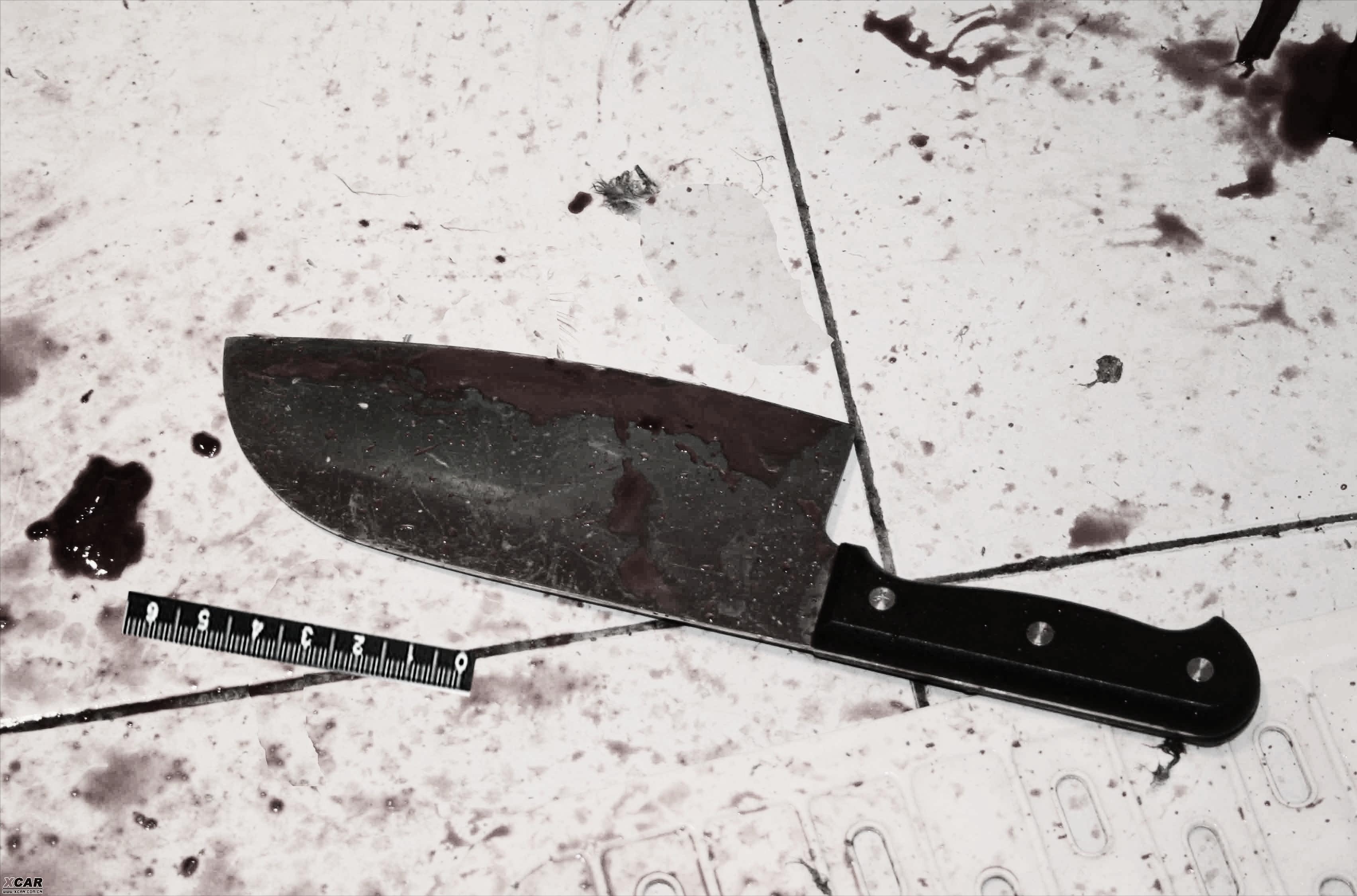 湖南一神童刘俊勇：辍学打工自封土皇帝，身边美女主动帮他挣钱