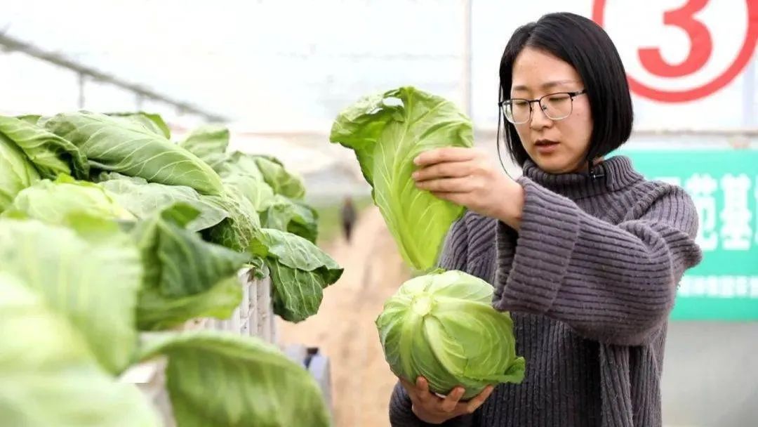 我的创业故事纪录片,我的奋斗故事乡村振兴