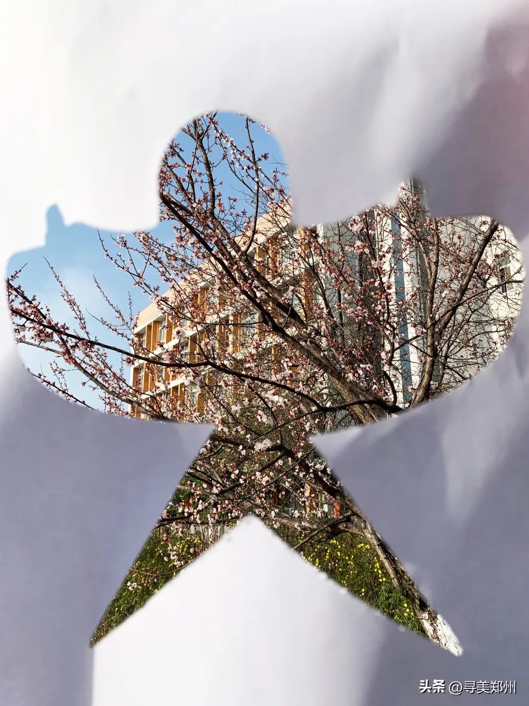 河南科技大学春景,河南科技职业大学校园春景