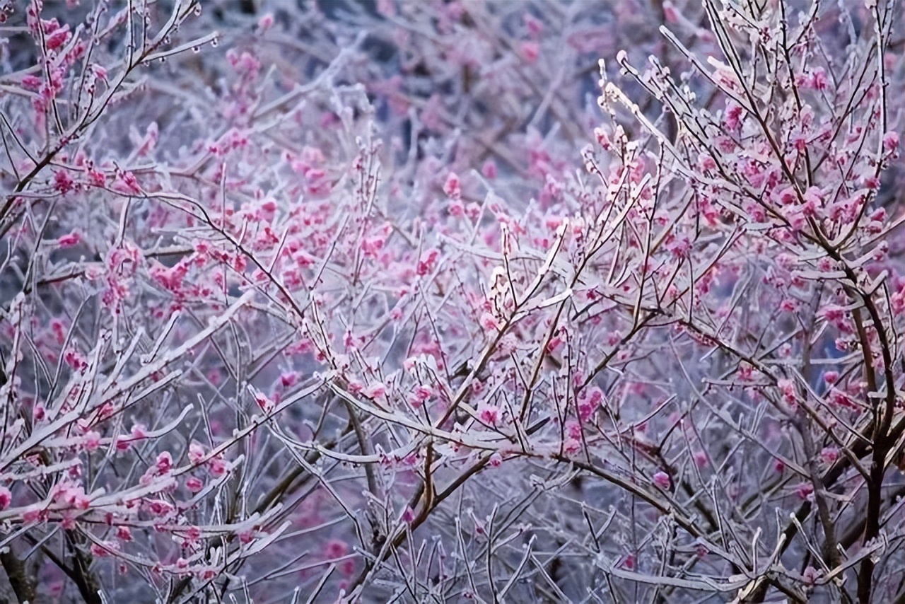 描写祖国风景美如画的诗,歌颂祖国大好河山诗词