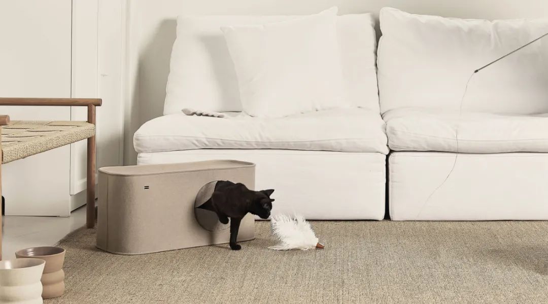 2022年iF设计奖：宠物用品类