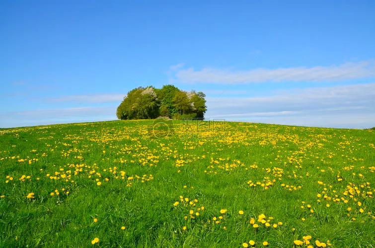 人生难得静心,人生难得清净心