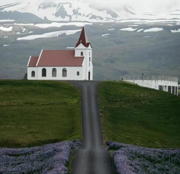 冰岛历史有什么,冰岛历史最佳战绩