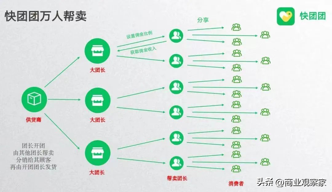 野菌生长过程,野团生活环境