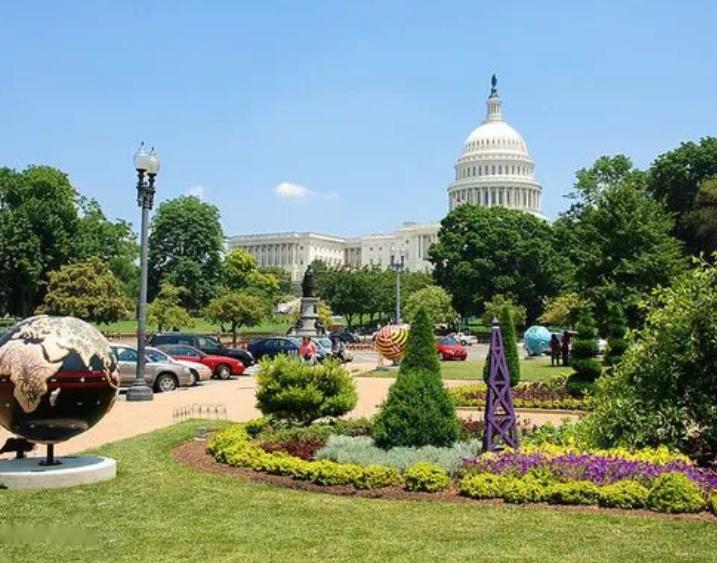 美国女孩艾米丽,美国女孩艾米丽在中国