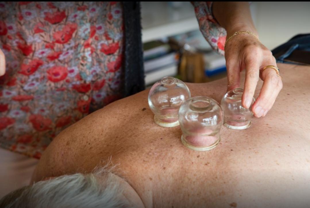 法国的国宝级老中医,中医药治老狗