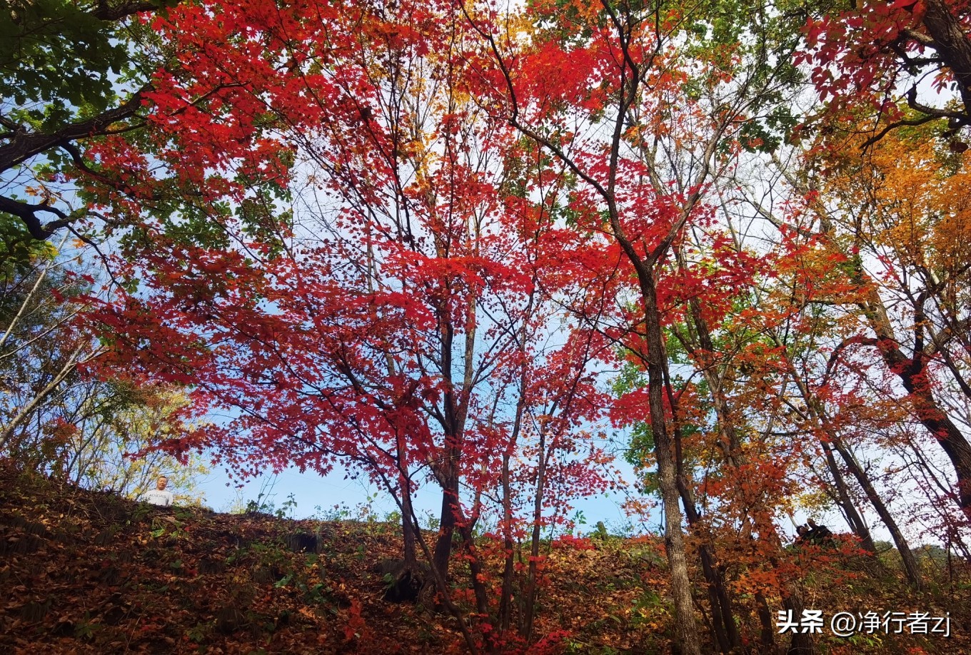 图们江口岸游记,从图们市到牡丹江自驾游