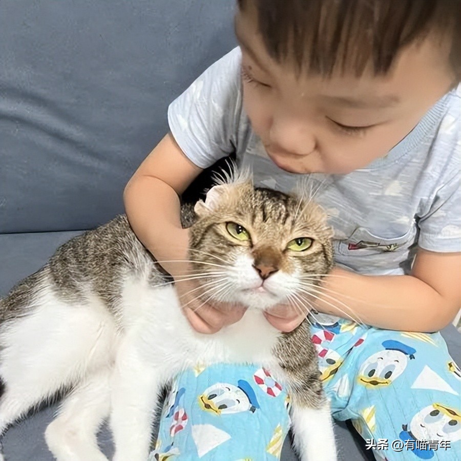 鑷粠鍏讳簡鐚氨鍐嶄篃娌℃湁涔拌繃琛ｆ湇,鑷粠鍏讳簡鐚氨娌＄粰鑷繁涔拌繃闆堕