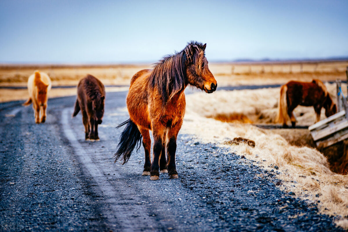 你可能不知道的极限运动,你可能不知道的运动小常识