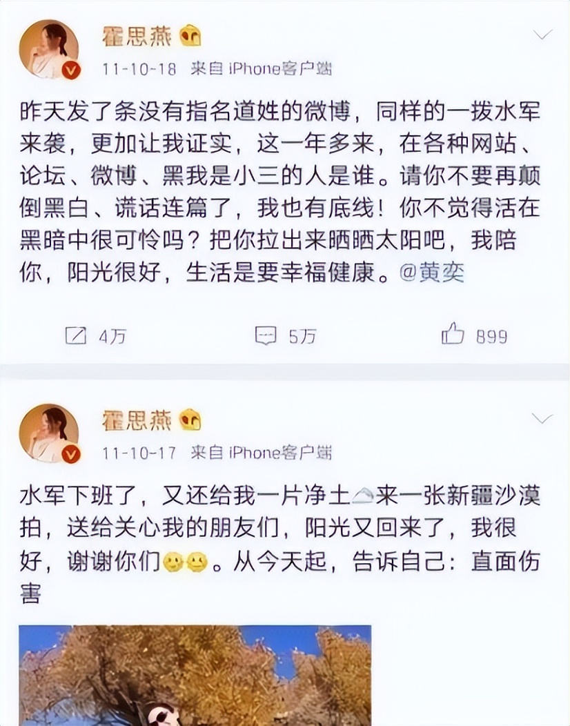 霍思燕豪门捞金,霍思燕富婆