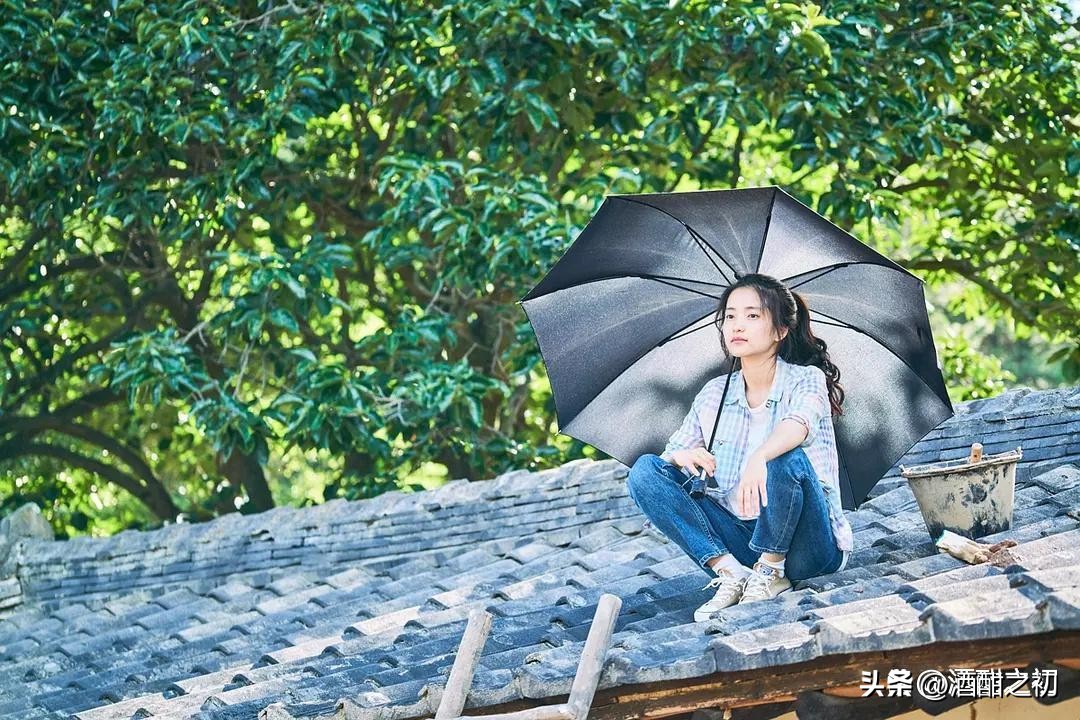 乡村故事婚变,乡村爱情离婚故事