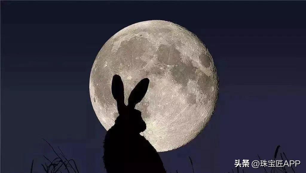 中国传统兔纹样图案,兔子传统纹样