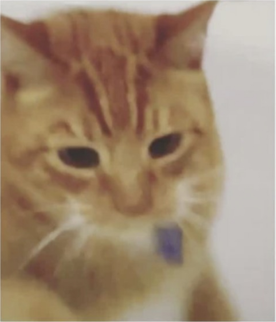 澶栧浗灏忓摜鍚愭Ы濂崇敓,澶栧浗灏忓摜鍚愭Ы宸ヤ綔