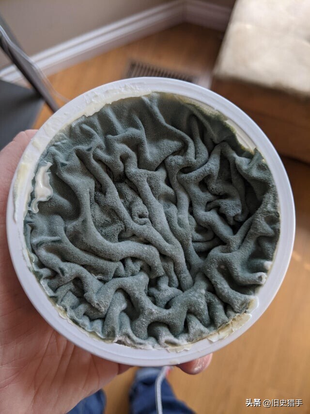 20张照片霉霉,25张令人震惊的图片