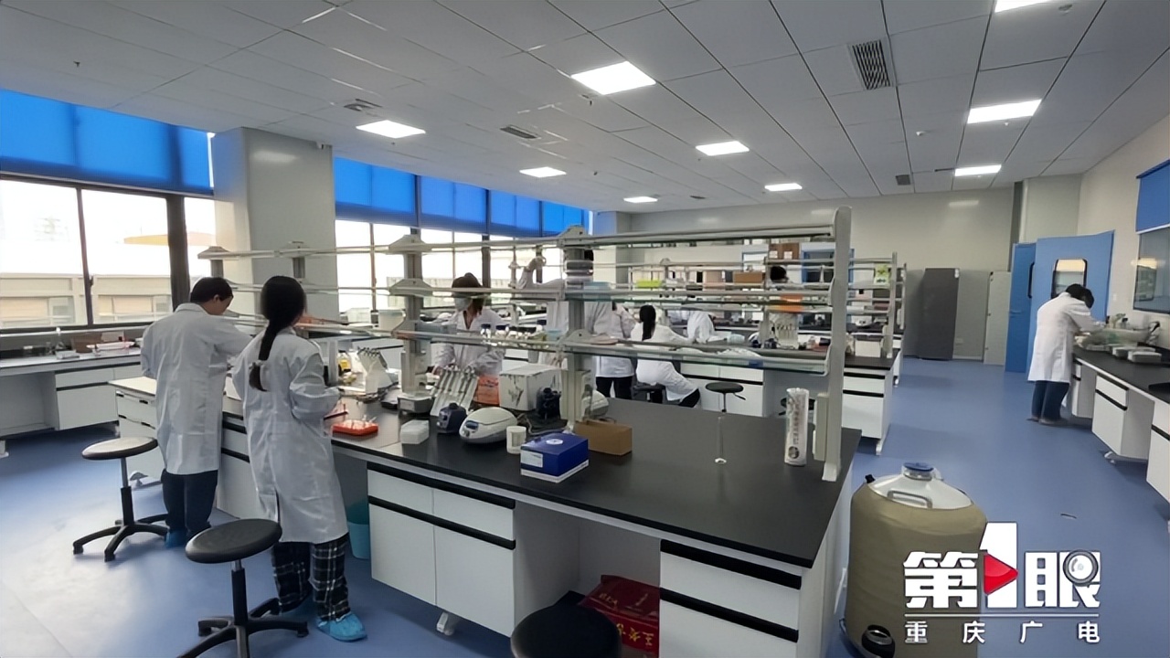 重庆市新增就业人数,重庆全市就业人员工资预计增长率