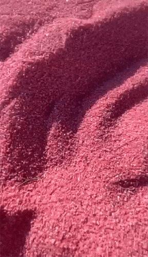 谈海东,海东短句